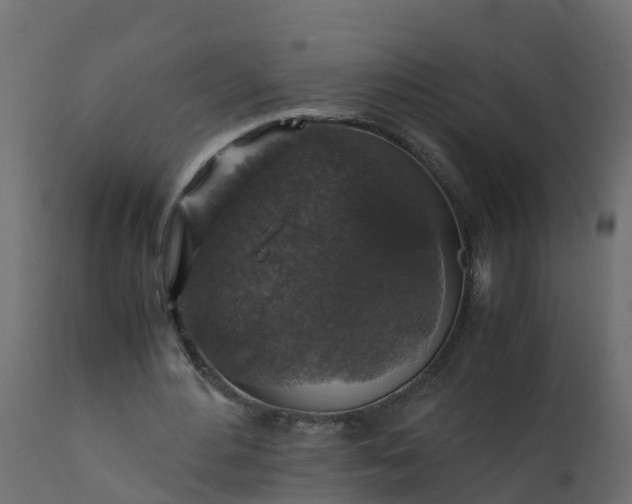 X0000110710484200906261435