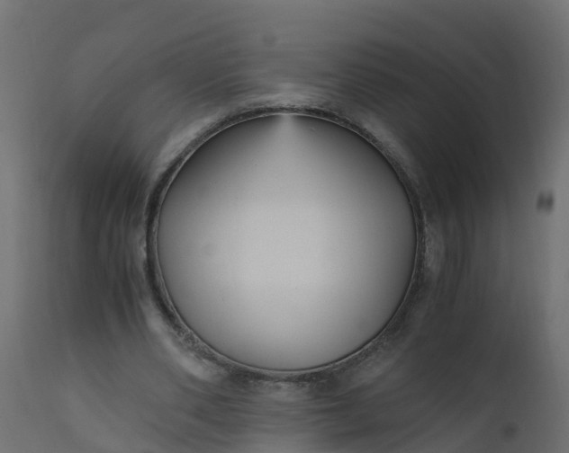 X0000110710486200906261435