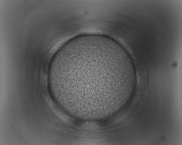 X0000110710487200906261435