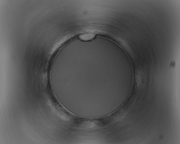 X0000110710488200906261435