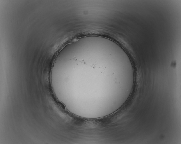 X0000110710489200906261435