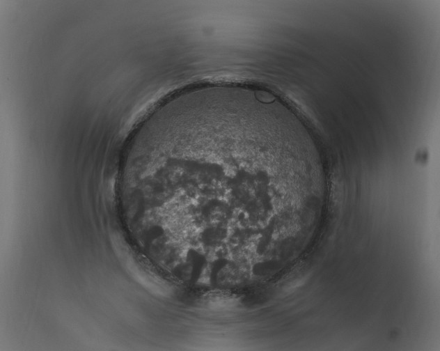 X0000110710491200906261435