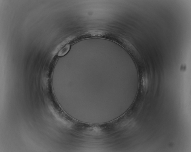 X0000110710492200906261435