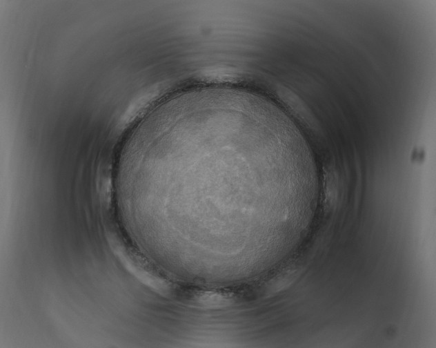 X0000110710494200906261435