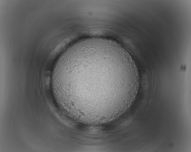X0000110710495200906261435