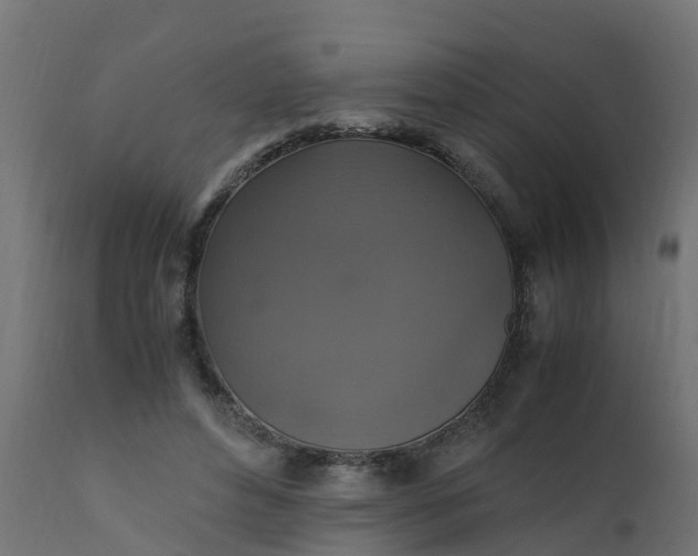 X0000110710496200906261435