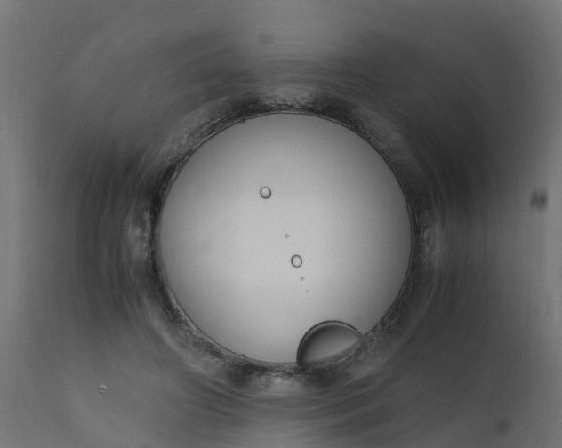 X0000110710498200906261435