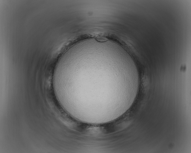 X0000110710499200906261435