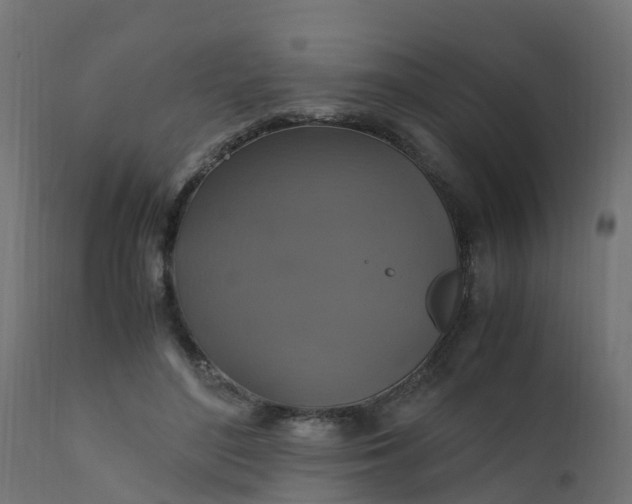 X0000110710500200906261435