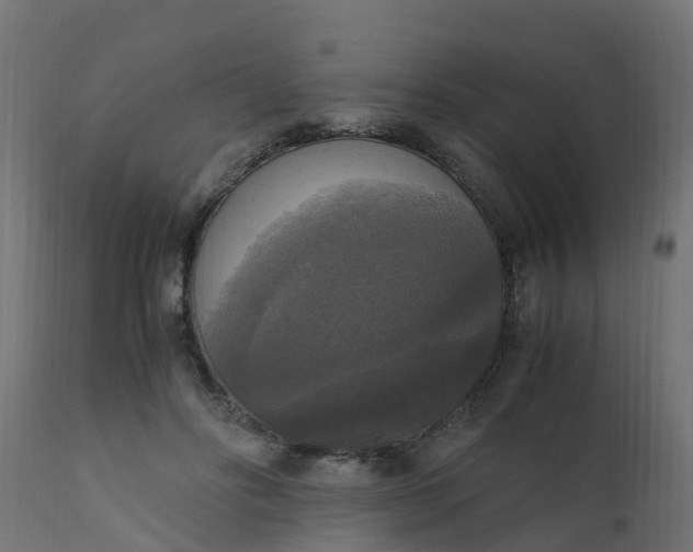 X0000110710502200906261435