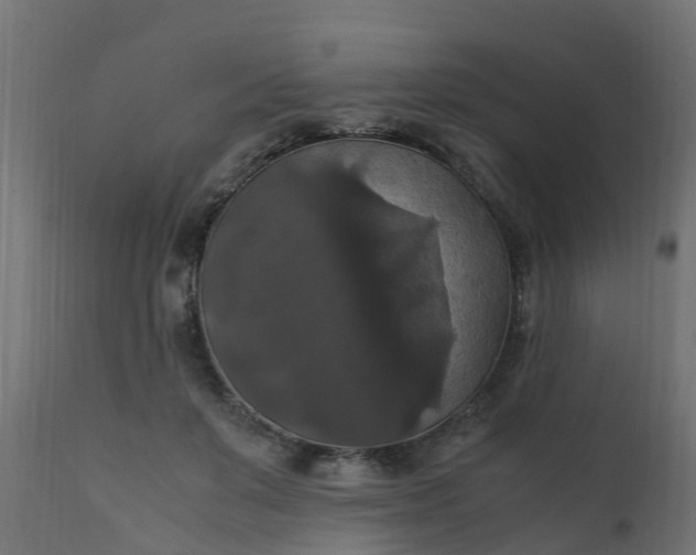 X0000110710503200906261435