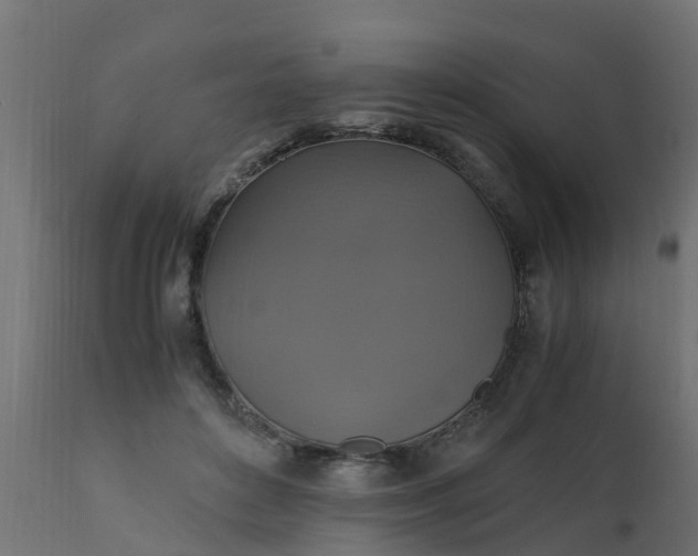 X0000110710504200906261435