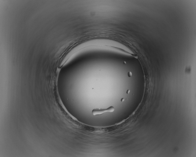 X0000110710505200906261434