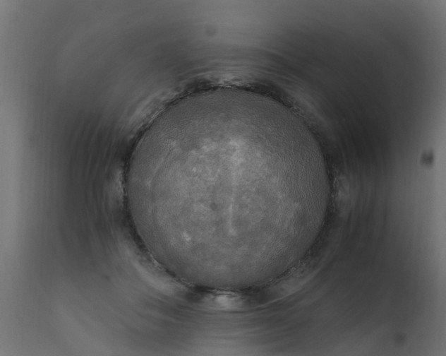X0000110710506200906261434