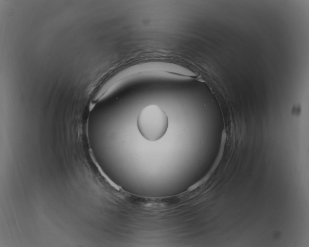 X0000110710508200906261434