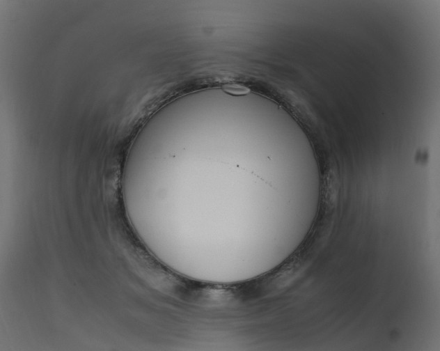 X0000110710509200906261434