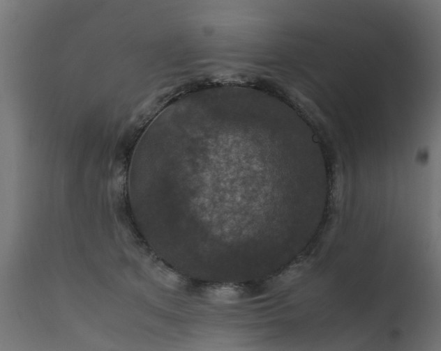 X0000110710513200906261434