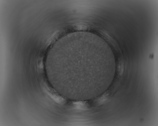 X0000110710516200906261434
