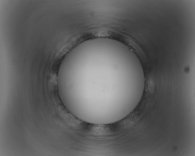 X0000110710521200906261434