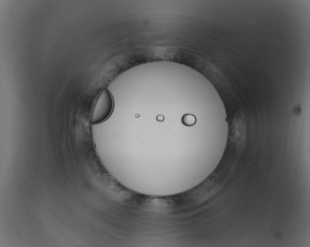 X0000110710522200906261434