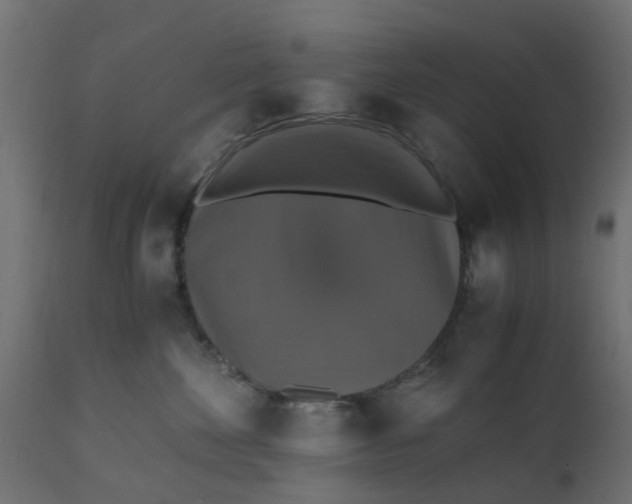 X0000110710524200906261434