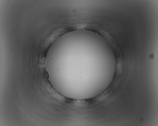 X0000110710525200906261434
