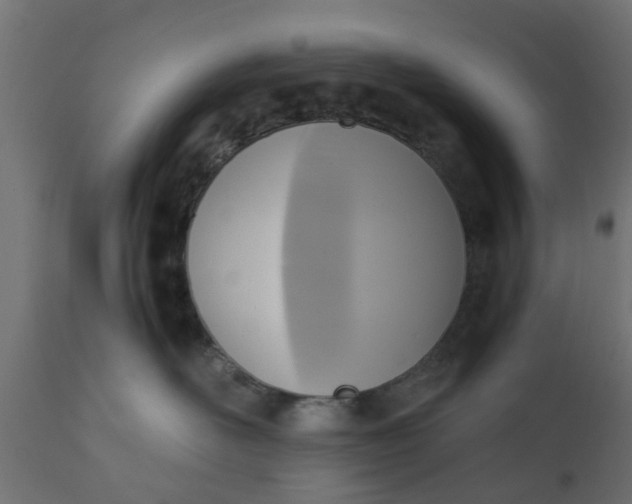 X0000110710526200906261434