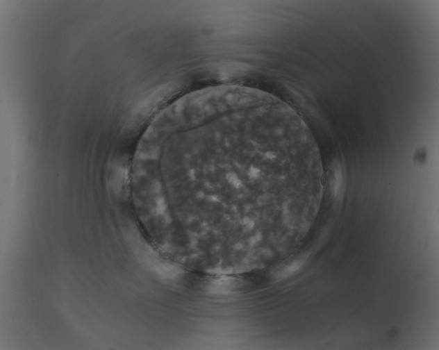 X0000110710527200906261434