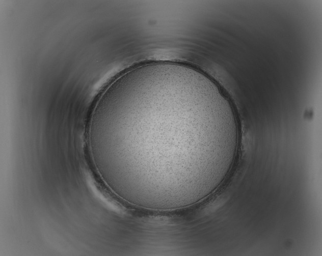 X0000110710530200906261434