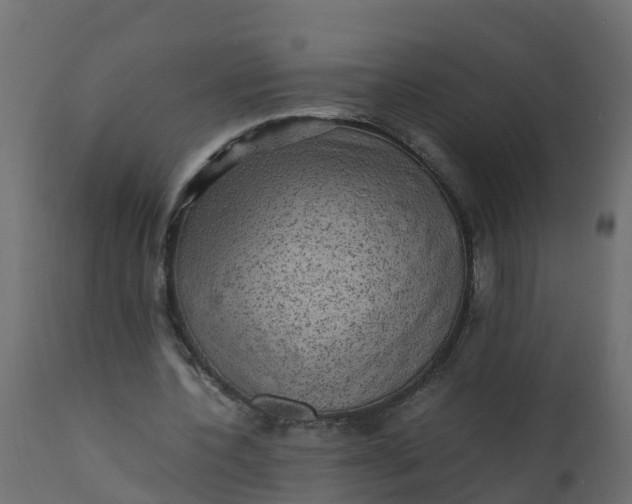 X0000110710532200906261434