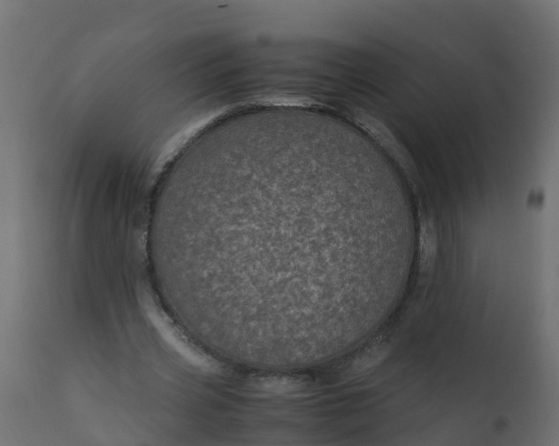 X0000110710533200906261434
