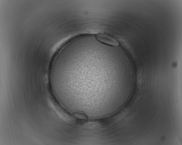 X0000110710536200906261434