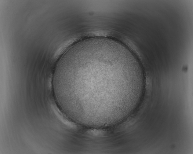 X0000110710537200906261434