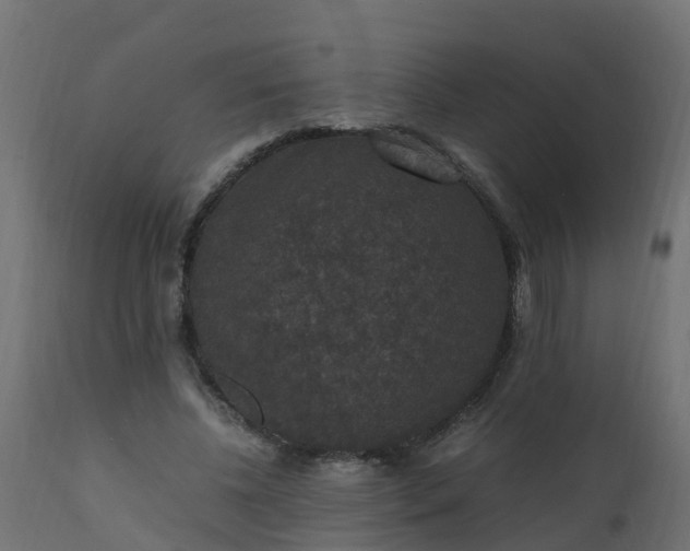X0000110710540200906261434