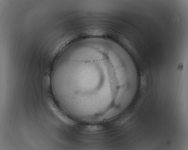 X0000110710541200906261434