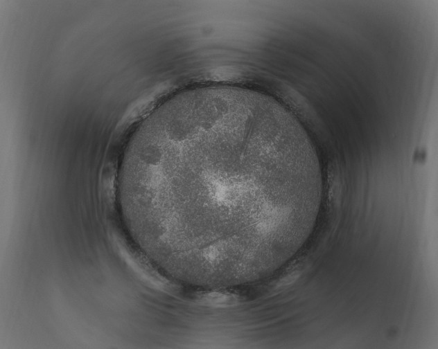 X0000110710542200906261434