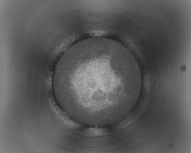 X0000110710545200906261434
