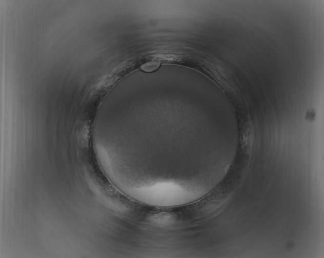 X0000110710551200906261434