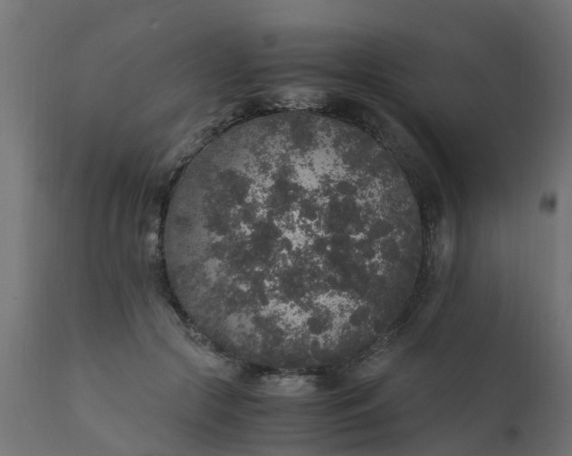 X0000110710553200906261434