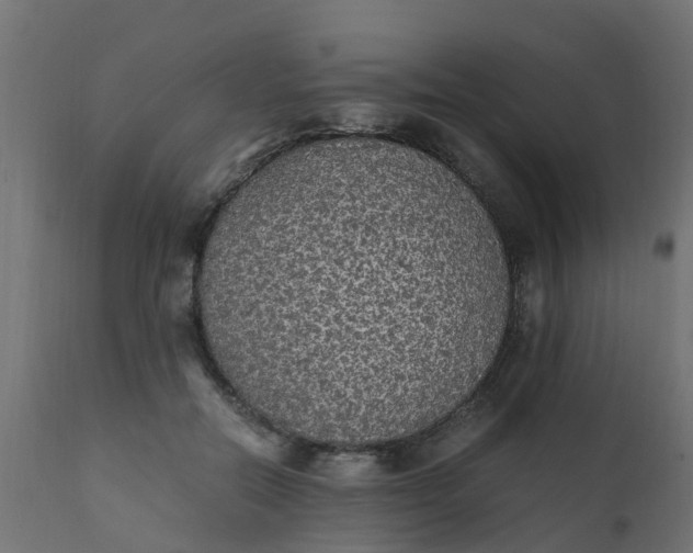 X0000110710554200906261434