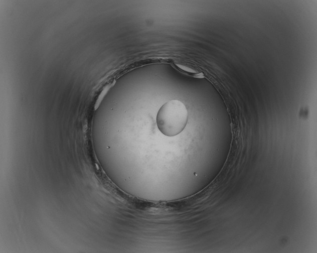 X0000110710556200906261434