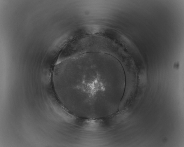X0000110710558200906261434