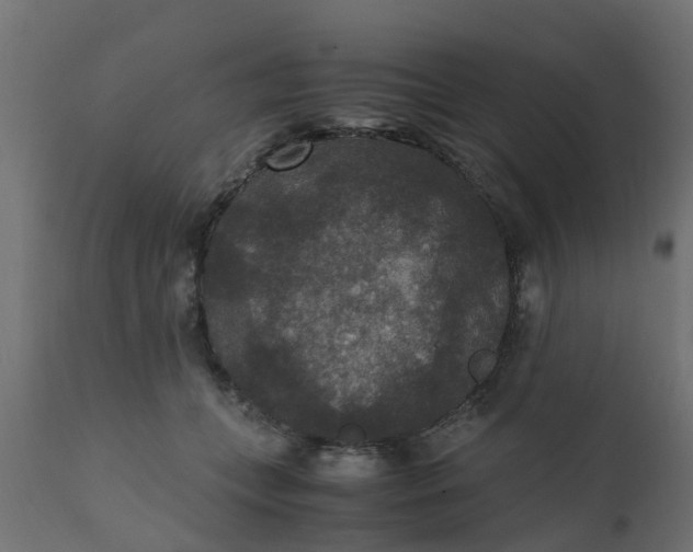 X0000110710559200906261434