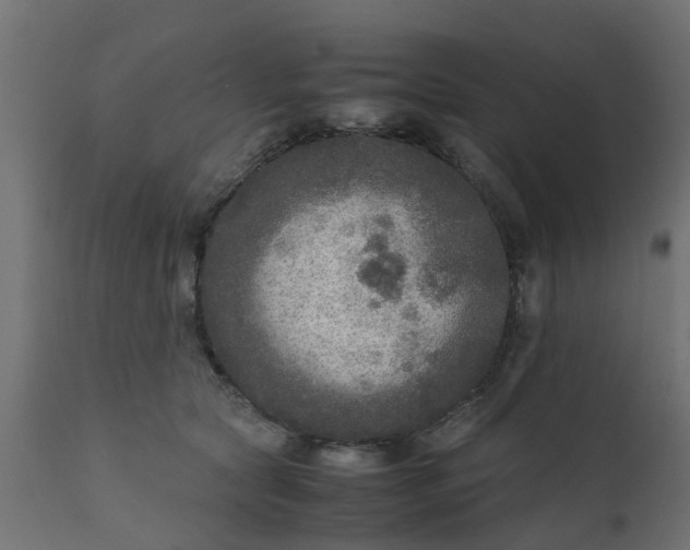 X0000110710561200906261434