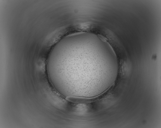 X0000110710562200906261434