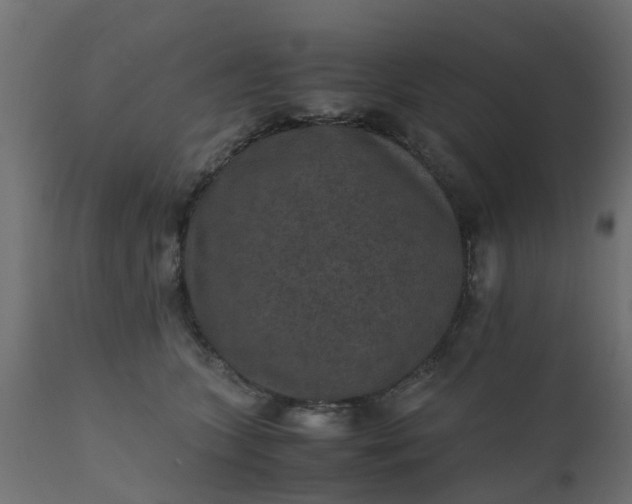 X0000110710563200906261434