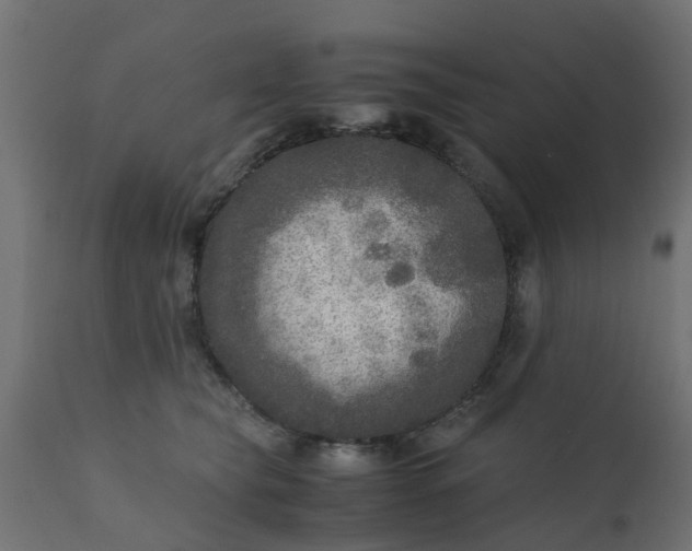 X0000110710565200906261434