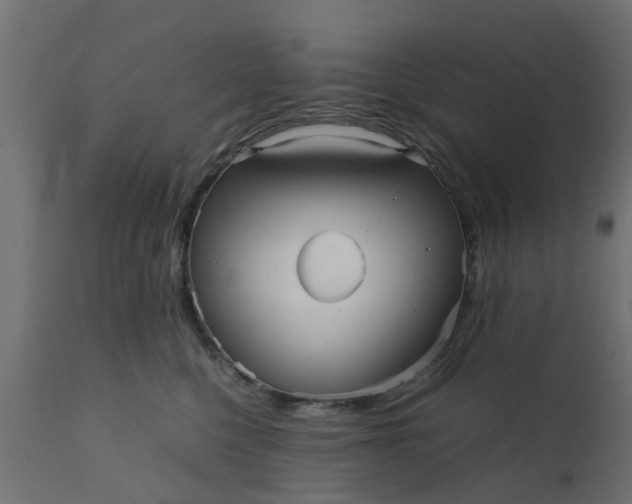 X0000110710568200906261434