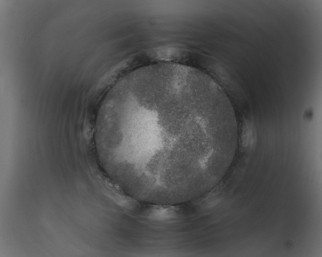 X0000110710569200906261434