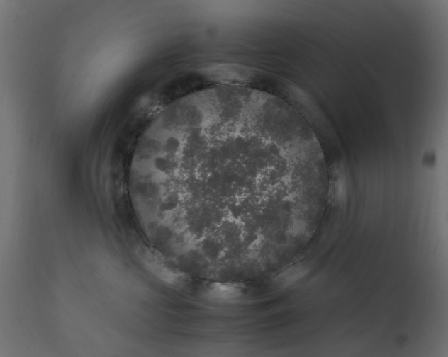 X0000110710573200906261434